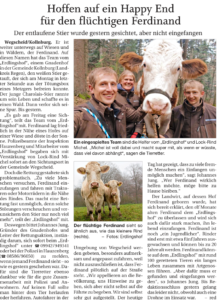 Artikel in der Printausgabe der Passauer neuen Presse vom 03.04.2020 über Jungstier Ferdinand